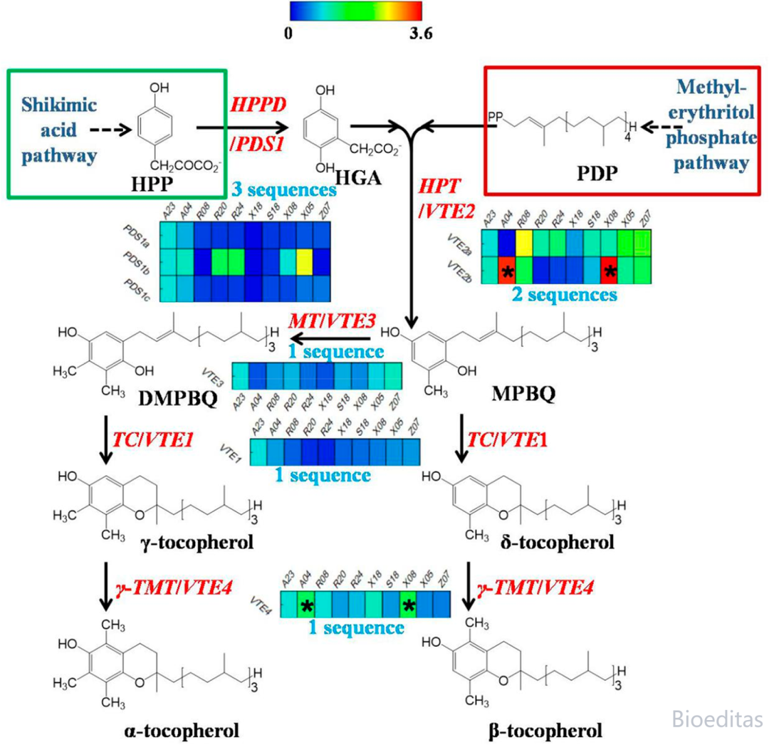 陕西佰艾基因信息科技有限公司